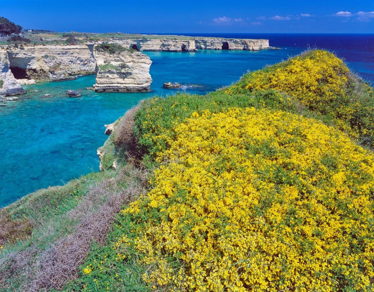 Rocco Forte Masseria Torre Maizza Savelletri Exteriör bild